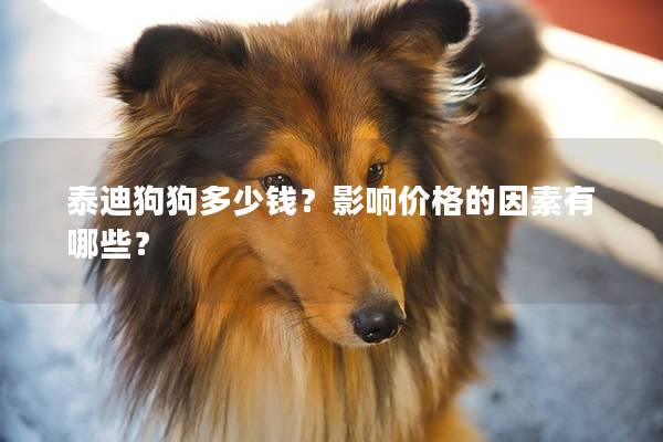 泰迪狗狗多少錢?影響價(jià)格的因素有哪些? 泰迪狗狗多少錢?影響價(jià)格的因素有哪些?