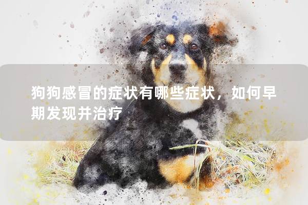 狗狗感冒的癥狀有哪些癥狀，如何早期發(fā)現(xiàn)并治療