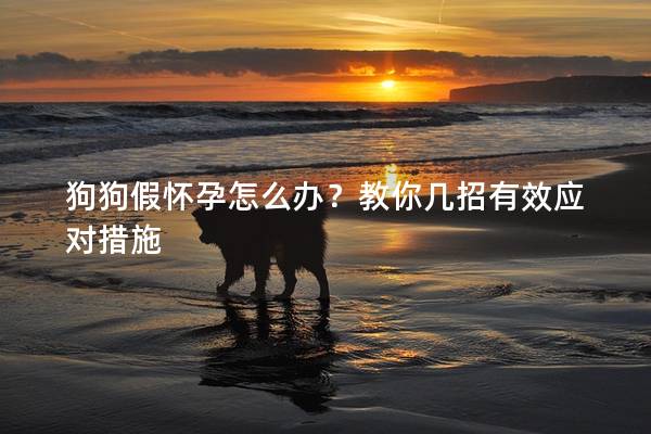 狗狗假懷孕怎么辦?教你幾招有效應(yīng)對措施 狗狗假懷孕怎么辦?教你幾招有效應(yīng)對措施