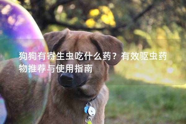 狗狗有寄生蟲吃什么藥？有效驅(qū)蟲藥物推薦與使用指南