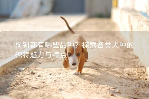 狗狗都有哪些品種？探索各類(lèi)犬種的獨(dú)特魅力與特點(diǎn)