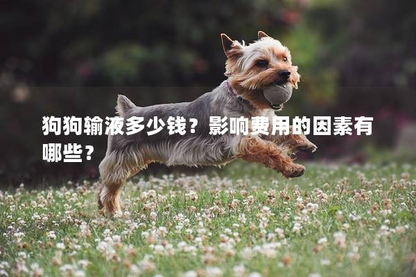 狗狗輸液多少錢？影響費用的因素有哪些？