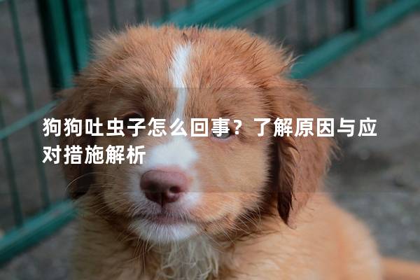 狗狗吐蟲子怎么回事？了解原因與應對措施解析