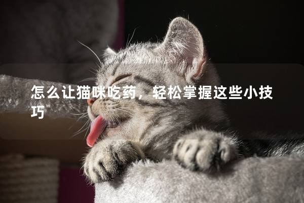 怎么讓貓咪吃藥，輕松掌握這些小技巧