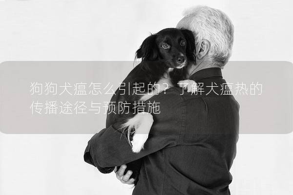 狗狗犬瘟怎么引起的？了解犬瘟熱的傳播途徑與預防措施