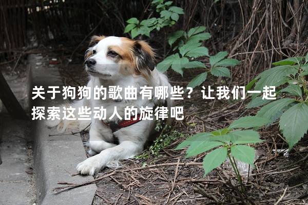 關于狗狗的歌曲有哪些？讓我們一起探索這些動人的旋律吧