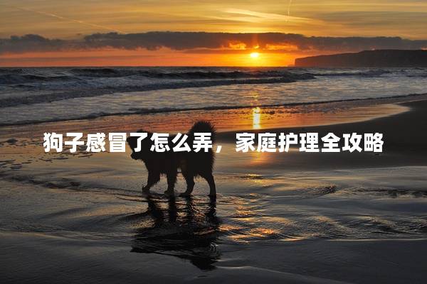 狗子感冒了怎么弄，家庭護理全攻略