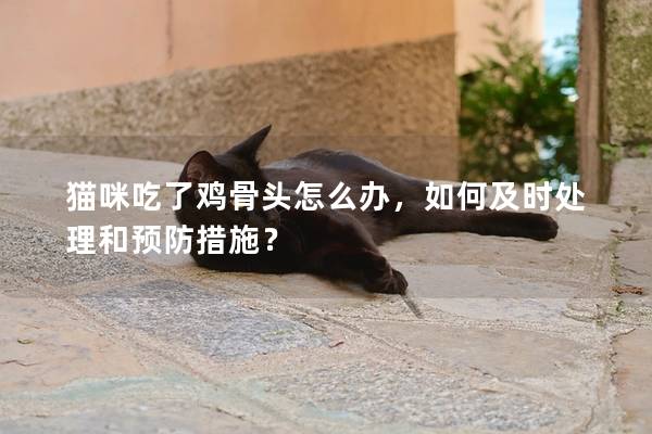 貓咪吃了雞骨頭怎么辦，如何及時處理和預防措施？