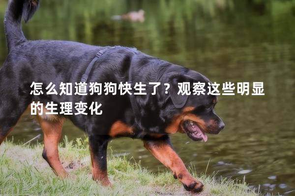 怎么知道狗狗快生了？觀察這些明顯的生理變化