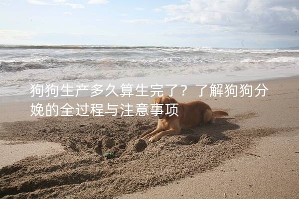 狗狗生產多久算生完了?了解狗狗分娩的全過程與注意事項 狗狗生產多久算生完了?了解狗狗分娩的全過程與注意事項