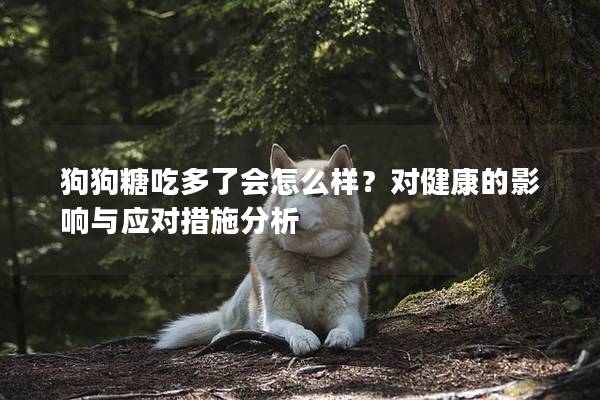 狗狗糖吃多了會怎么樣？對健康的影響與應對措施分析