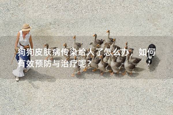 狗狗皮膚病傳染給人了怎么辦，如何有效預防與治療呢？
