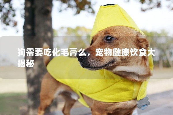 狗需要吃化毛膏么，寵物健康飲食大揭秘