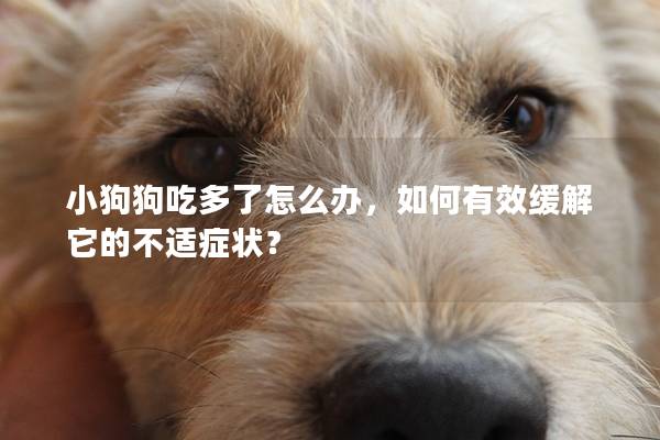 小狗狗吃多了怎么辦，如何有效緩解它的不適癥狀？