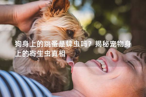 狗身上的跳蚤是蜱蟲嗎？揭秘寵物身上的寄生蟲真相