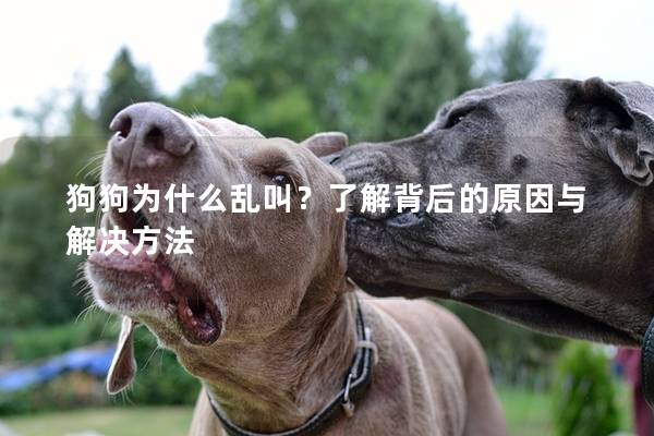 狗狗為什么亂叫？了解背后的原因與解決方法
