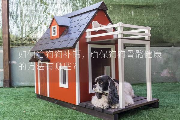 如何給狗狗補鈣，確保狗狗骨骼健康的方法有哪些？