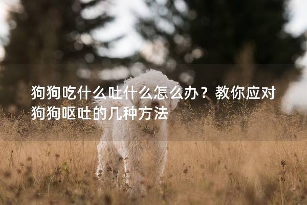 狗狗吃什么吐什么怎么辦？教你應對狗狗嘔吐的幾種方法