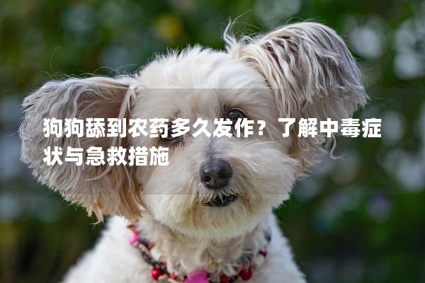 狗狗舔到農(nóng)藥多久發(fā)作?了解中毒癥狀與急救措施 狗狗舔到農(nóng)藥多久發(fā)作?了解中毒癥狀與急救措施