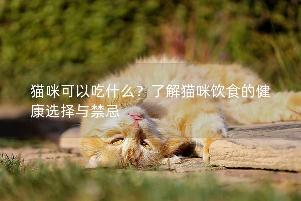 貓咪可以吃什么？了解貓咪飲食的健康選擇與禁忌