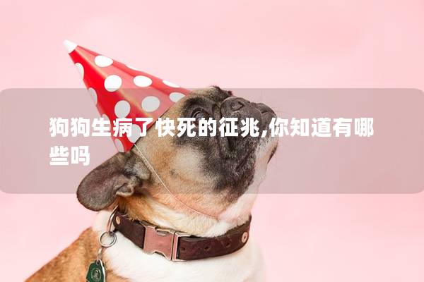 狗狗生病了快死的征兆,你知道有哪些嗎