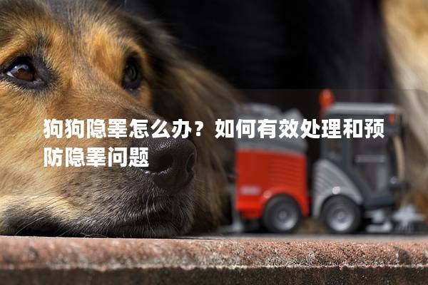 狗狗隱睪怎么辦?如何有效處理和預防隱睪問題 狗狗隱睪怎么辦?如何有效處理和預防隱睪問題