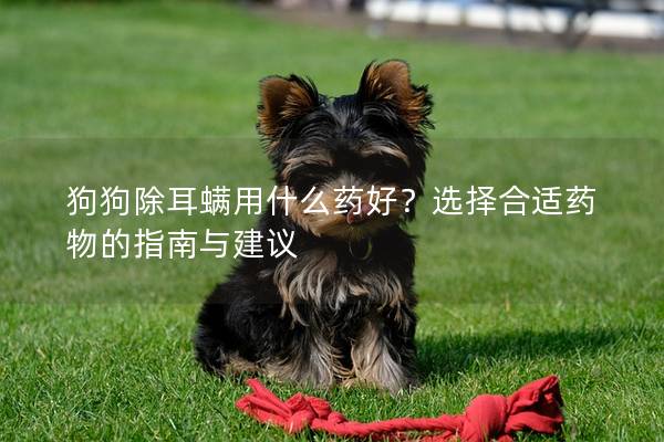 狗狗除耳螨用什么藥好？選擇合適藥物的指南與建議