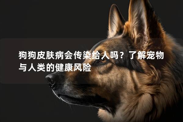 狗狗皮膚病會傳染給人嗎?了解寵物與人類的健康風(fēng)險 狗狗皮膚病會傳染給人嗎?了解寵物與人類的健康風(fēng)險