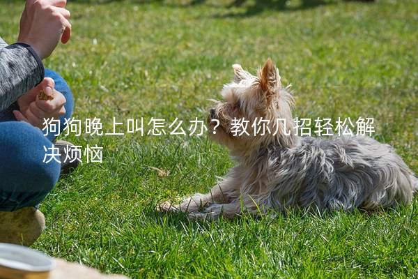 狗狗晚上叫怎么辦？教你幾招輕松解決煩惱