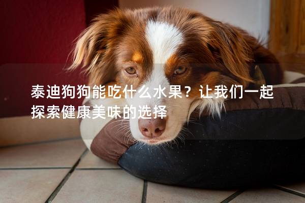 泰迪狗狗能吃什么水果？讓我們一起探索健康美味的選擇