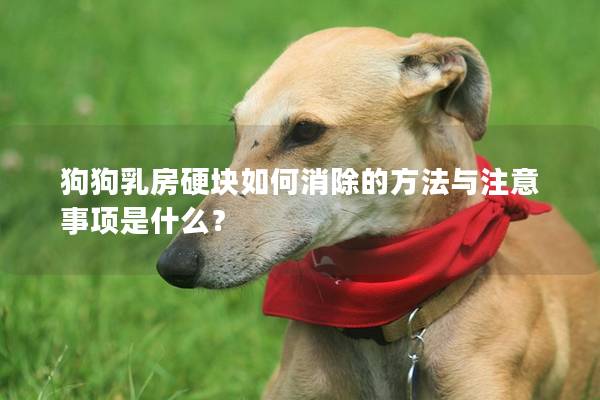 狗狗乳房硬塊如何消除的方法與注意事項是什么？