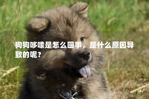 狗狗哆嗦是怎么回事，是什么原因?qū)е碌哪兀?></em><p>狗狗哆嗦是怎么回事，是什么原因?qū)е碌哪兀?/p><span>2025-05-19</span></a></li><li><a title=