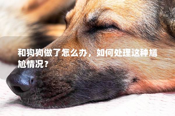 和狗狗做了怎么辦，如何處理這種尷尬情況？