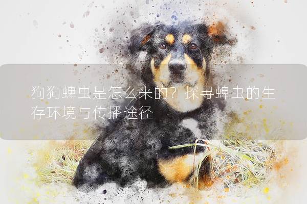 狗狗蜱蟲是怎么來的？探尋蜱蟲的生存環境與傳播途徑