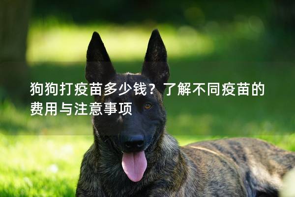 狗狗打疫苗多少錢？了解不同疫苗的費用與注意事項