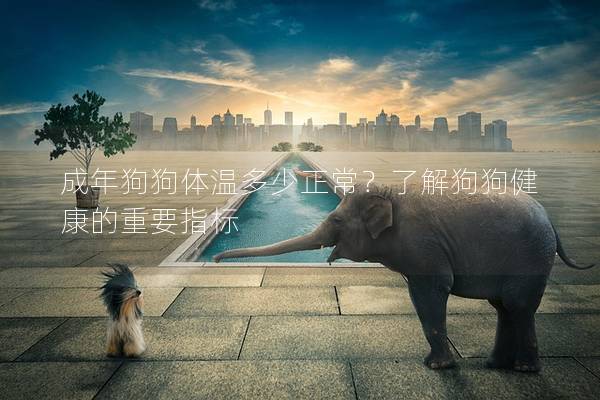 成年狗狗體溫多少正常？了解狗狗健康的重要指標