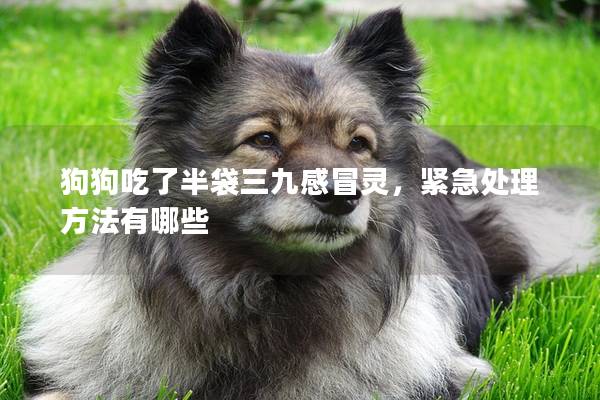 狗狗吃了半袋三九感冒靈，緊急處理方法有哪些
