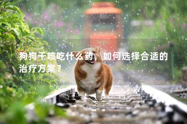 狗狗干咳吃什么藥，如何選擇合適的治療方案？
