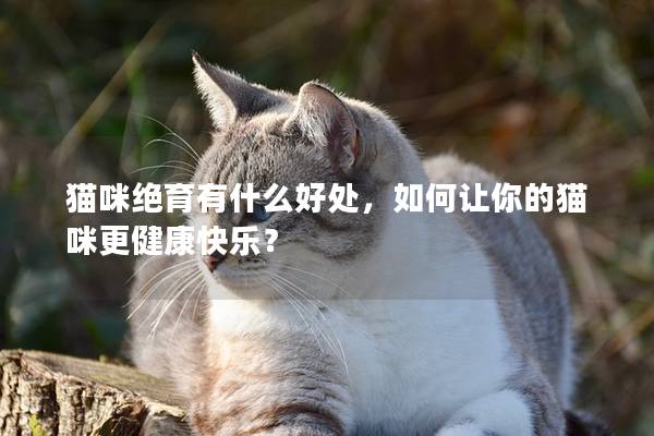 貓咪絕育有什么好處，如何讓你的貓咪更健康快樂？