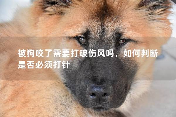 被狗咬了需要打破傷風嗎，如何判斷是否必須打針