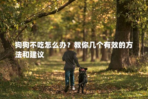 狗狗不吃怎么辦？教你幾個(gè)有效的方法和建議