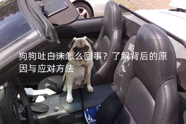 狗狗吐白沫怎么回事？了解背后的原因與應對方法