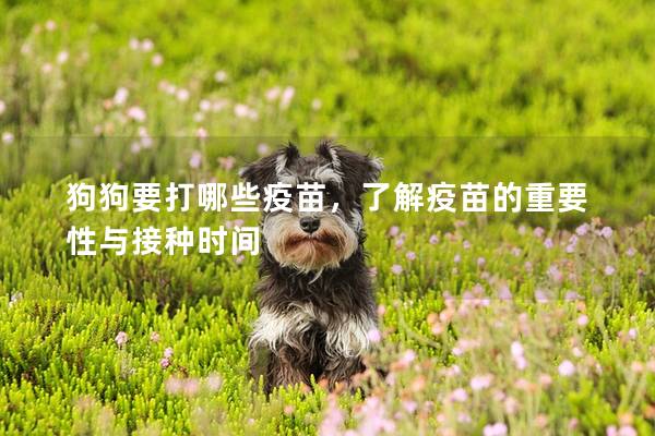 狗狗要打哪些疫苗，了解疫苗的重要性與接種時間