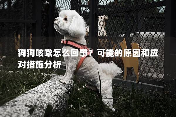 狗狗咳嗽怎么回事？可能的原因和應(yīng)對措施分析