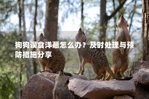 狗狗誤食洋蔥怎么辦？及時處理與預防措施分享