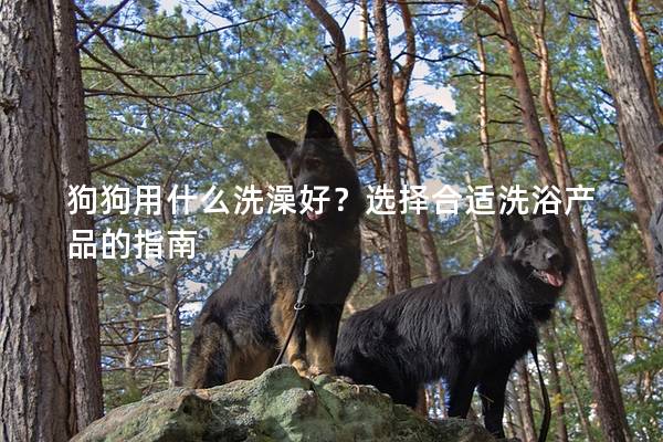 狗狗用什么洗澡好？選擇合適洗浴產(chǎn)品的指南