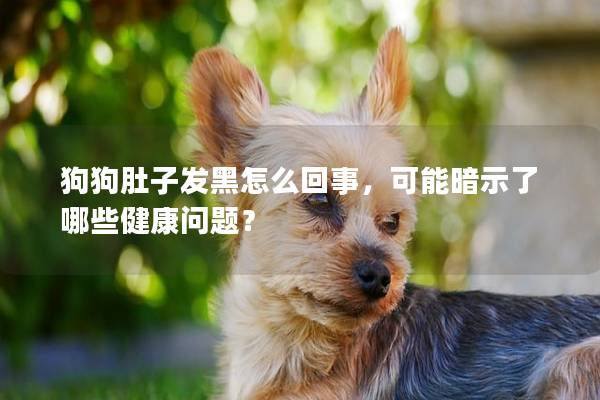 狗狗肚子發黑怎么回事，可能暗示了哪些健康問題？