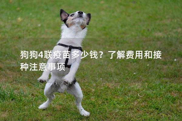 狗狗4聯疫苗多少錢？了解費用和接種注意事項