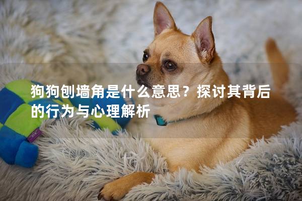 狗狗刨墻角是什么意思？探討其背后的行為與心理解析