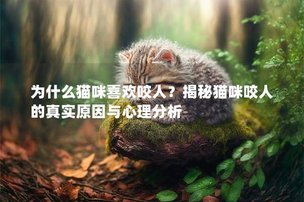 為什么貓咪喜歡咬人？揭秘貓咪咬人的真實原因與心理分析